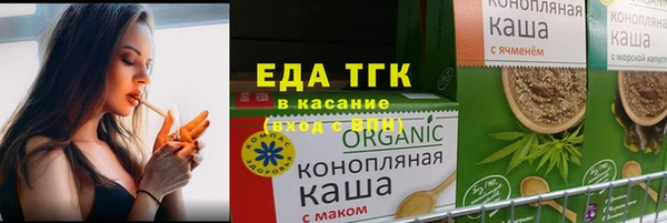 индика Богородицк