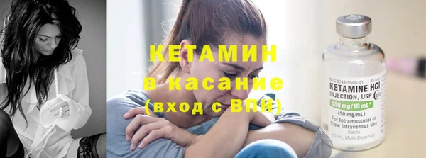 индика Богородицк