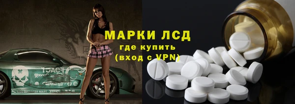индика Богородицк