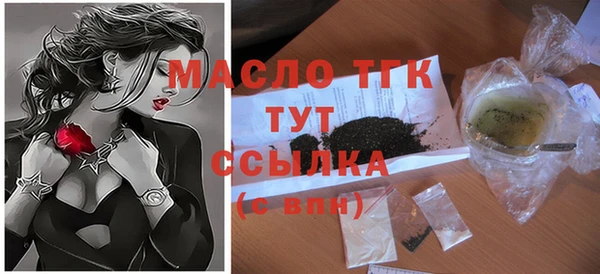 индика Богородицк