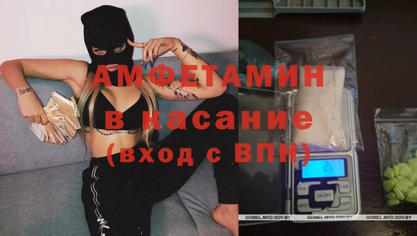 индика Богородицк