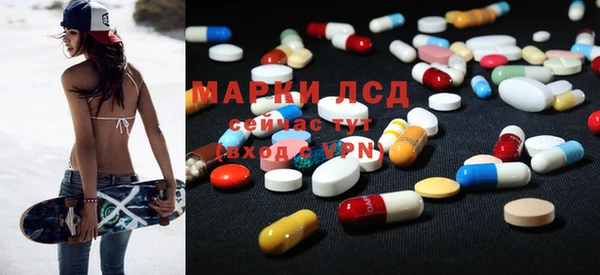 индика Богородицк