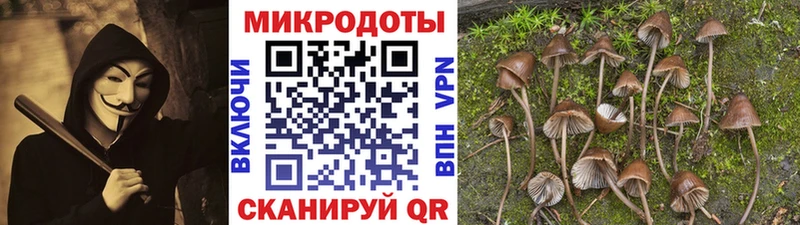где продают наркотики  Новый Оскол  блэк спрут маркетплейс  Галлюциногенные грибы Magic Shrooms 